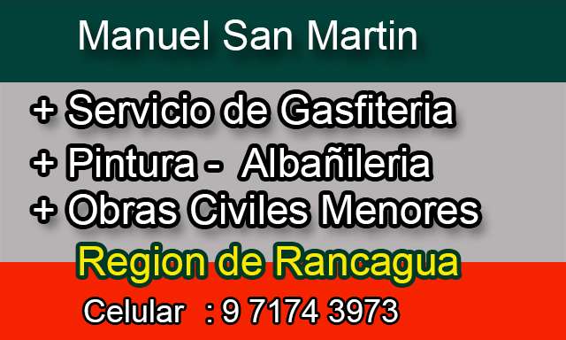 MaestroHogar.cl:Manuel San Martin Abarzua