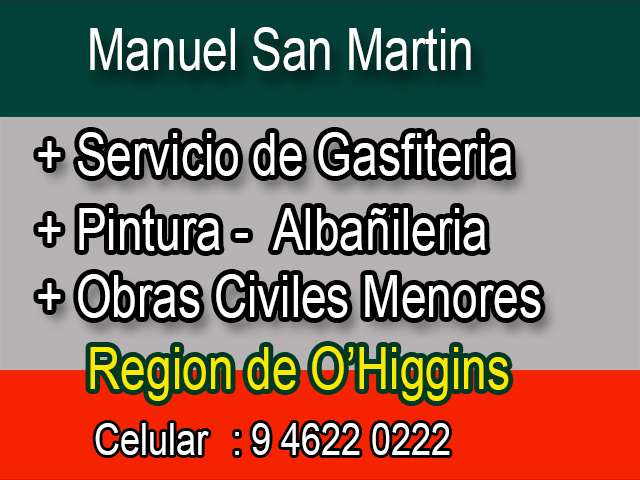 MaestroHogar.cl:Manuel San Martin Abarzua